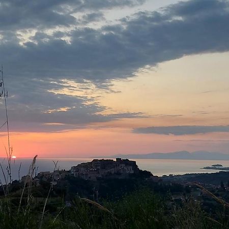 Tenuta Dei Biondi Ulivi B&B Belvedere Marittimo Zewnętrze zdjęcie