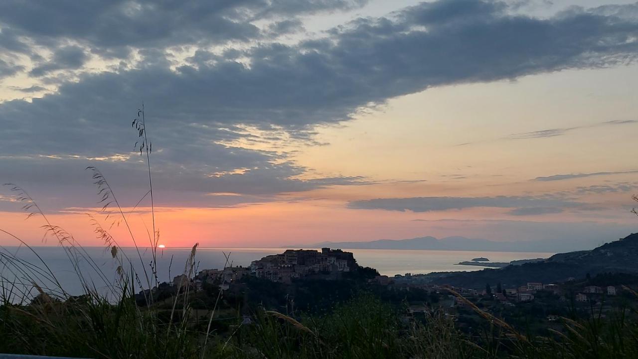 Tenuta Dei Biondi Ulivi B&B Belvedere Marittimo Zewnętrze zdjęcie